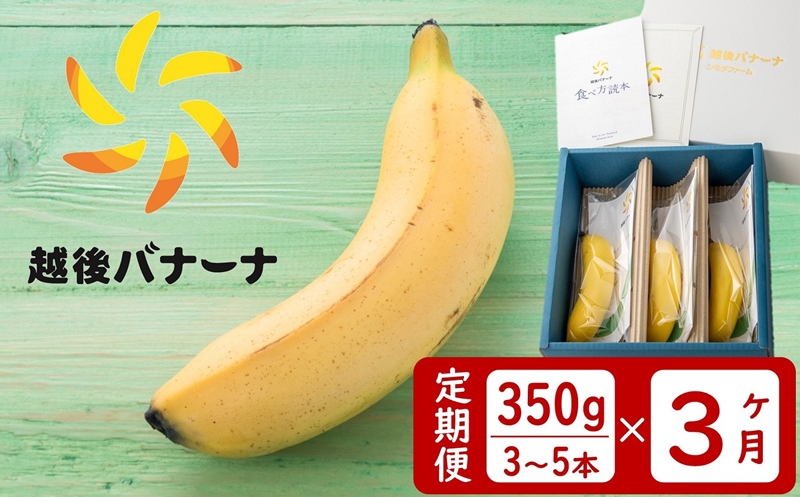 【大放出セール】 メーカー直送 皮ごと食べられるバナナ 越後バナーナ 350g 3〜5本 ×3回 vtg.com.py vtg.com.py