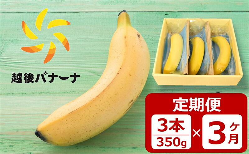 【ふるさと納税】【定期便・雪国新潟産バナナ】3本（350g）×3回 濃厚な甘さともっちり食感！安心安全の越後バナーナ【 新潟県 柏崎市 】