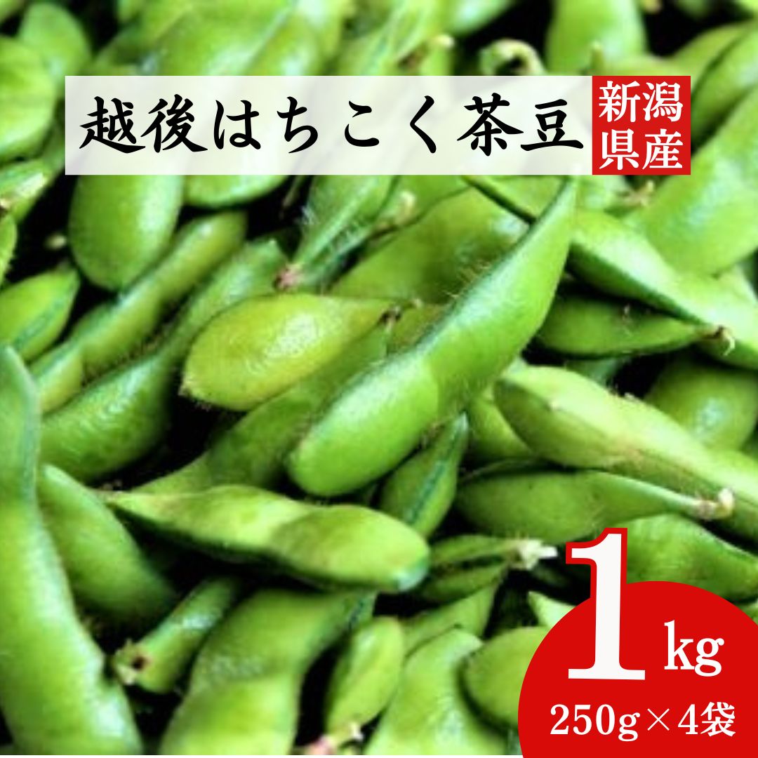 【ふるさと納税】【先行予約・7月中旬～発送】大粒・風味豊かな枝豆！柏崎の早生茶豆「越後はちこく茶豆」 1kg（250g×4袋）【期間・数量限定】[ZA025]【 新潟県 柏崎市 】