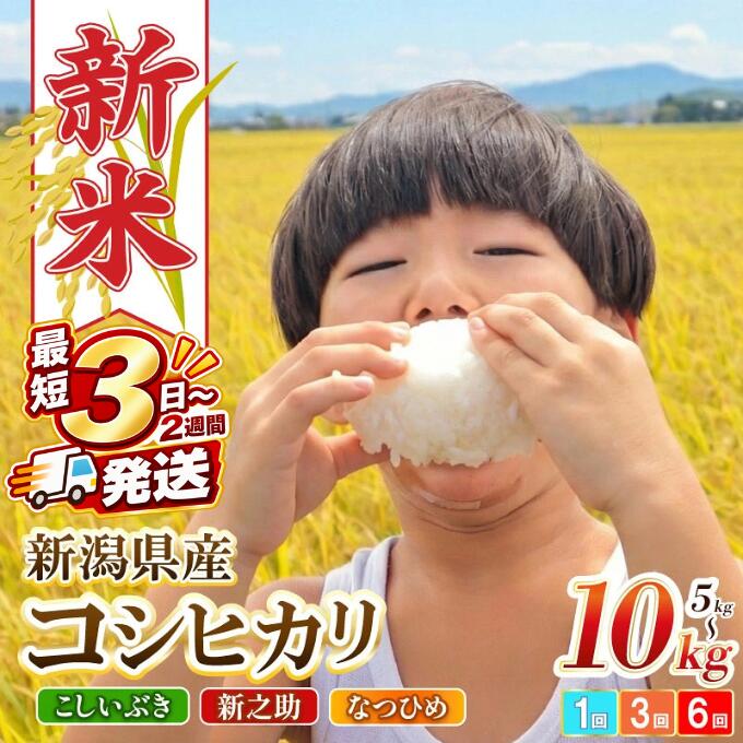 【ふるさと納税】 新米 新潟県産 コシヒカリ こしいぶき 新之助 なつひめ 8年産 選べる 配送時期 容量 4kg 5kg 10kg 20kg 単品 定期便 3回 6回 精米 四代目 悠助 コンテスト入賞 米 新発田 新潟 D71P:新潟県新発田市