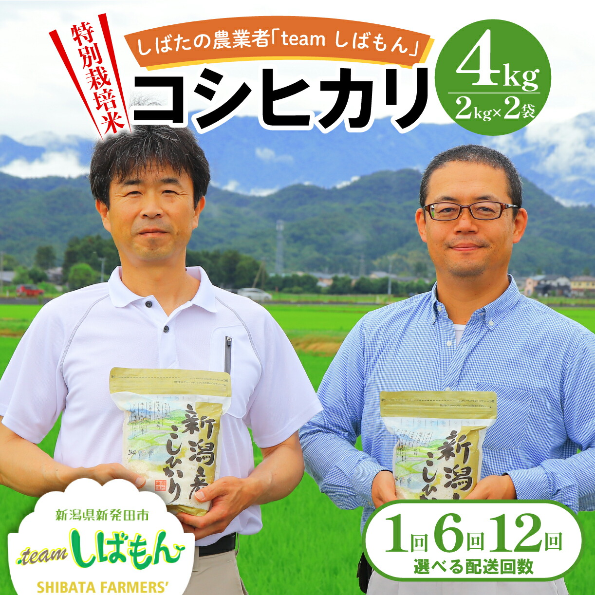 【ふるさと納税】 新米 コシヒカリ 4kg 米 こめ おこめ 単一米 精米 白米 ブランド米 新潟 新発田 しばもん【選べる回数】単品 6回 隔月6回 12回 2kg 4kg 24kg 48kg R7年産 R8年産新米予約