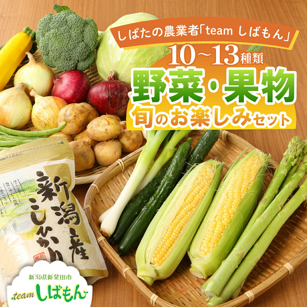 【ふるさと納税】先行予約 旬の野菜 おまかせ 詰め合わせ teamしばもん 特選  野菜セット 新潟 新発田市 野菜 食材 セット 詰め合わせ C16_01