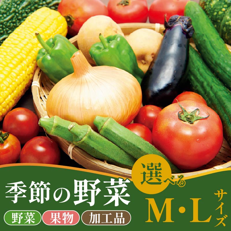 【ふるさと納税】 野菜 おすすめセット 選べる 容量 8～12種 10～15種 Ｍ Ｌ 詰め合わせ 加工品 常備菜 アスパラガス かぶ レタス 山菜 トマト きゅうり 枝豆 トウモロコシ なす オクラ かぼちゃ たまねぎ 里芋 さつまいも 長芋 ごぼう ねぎ にんじん 干柿 新潟 新発田 季節