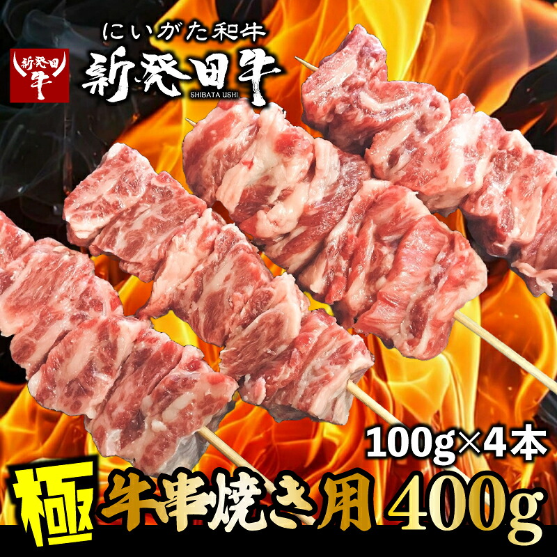 【ふるさと納税】 牛串 100g&times;4本 新発田牛 串焼き 和牛 ブランド 黒毛和牛 国産牛 焼肉 焼き肉 やきにく 新潟県 新発田市 バーベキュー BBQ キャンプ 冷凍 近江牛 神戸牛 松阪牛 米沢牛 三大和牛 に負けない えのもとミート enomoto018｜新潟県新発田市
