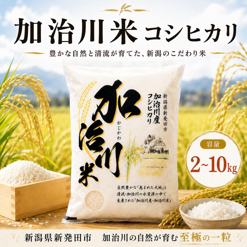 【ふるさと納税】 加治川米コシヒカリ 令和7年産 新潟県産 コシヒカリ 2kg 5kg10kg（5kg&times;2袋） 新潟県 新発田市 新潟 ふるさと納税 精米 米 お米 こしひかり 白米 こめ ご飯 ごはん 美味しい 贈り物 国産 お取り寄せ 産地直送 GAP認証 JGAP アグリ加治川 agk001P｜新潟県新発田市