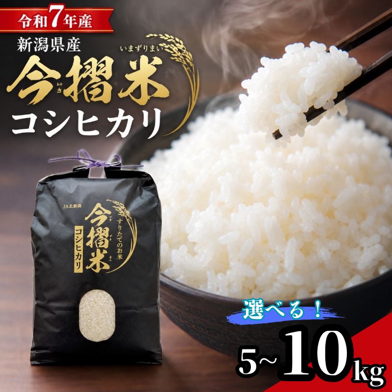 【ふるさと納税】 米 コシヒカリ 特別栽培米 今摺米 5kg 10kg 令和7年産 JA ブランド米 米 お米 米5kg 米10kg 精米 いまずりまい ごはん こめ おむすび おにぎり 弁当 おかず 色彩選別 鮮度 雪解け水 贈答 ギフト 国産 新潟 新発田 JA北新潟 こったま~や JA013P|新潟県新発田市