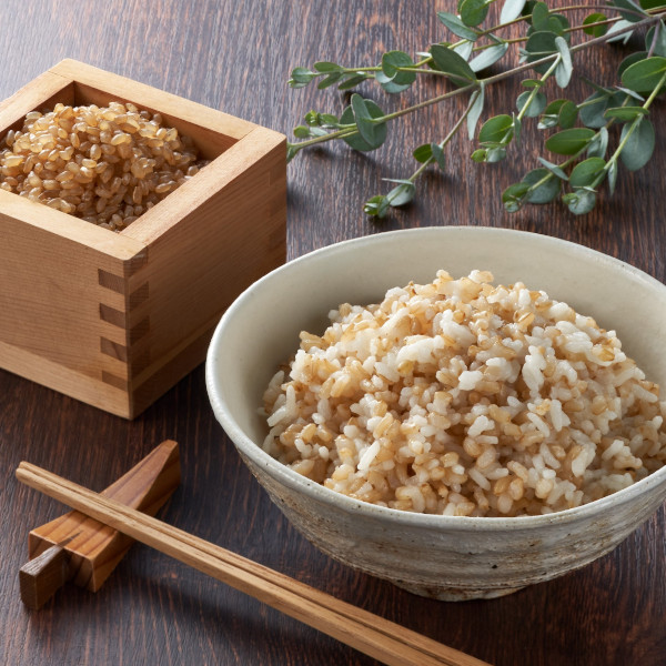 【ふるさと納税】発芽玄米ごはんパック180g×10個