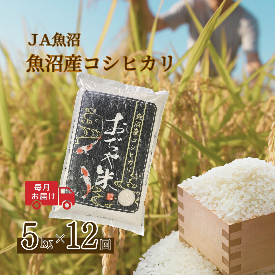 ふるさと納税 南魚沼市 南魚沼産コシヒカリ 全12回 ふるさと納税 南魚沼産コシヒカリ（玄米20kg×全12回）新潟県 特A地区
