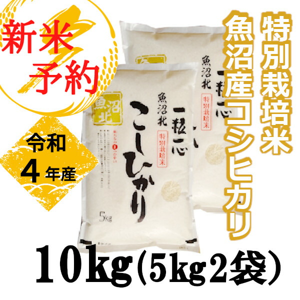 2021年新作 特別栽培米 魚沼産コシヒカリ 10kg 5kg×2袋 白米 新潟県 小千谷市 fucoa.cl