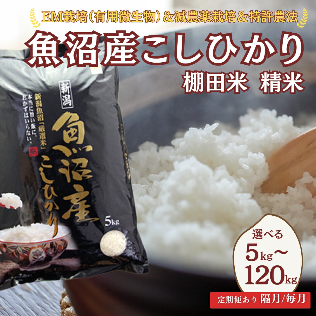 【ふるさと納税】【令和7年産 定期便】米 コシヒカリ 白米 魚沼産コシヒカリ 棚田米 精米 選べる容量 回数 5kg～120kg 毎月 隔月 佐藤農場 | 魚沼産 こしひかり 新潟県産コシヒカリ お米 おこめ 精米 ブランド米 【0018-sn00db00-01】