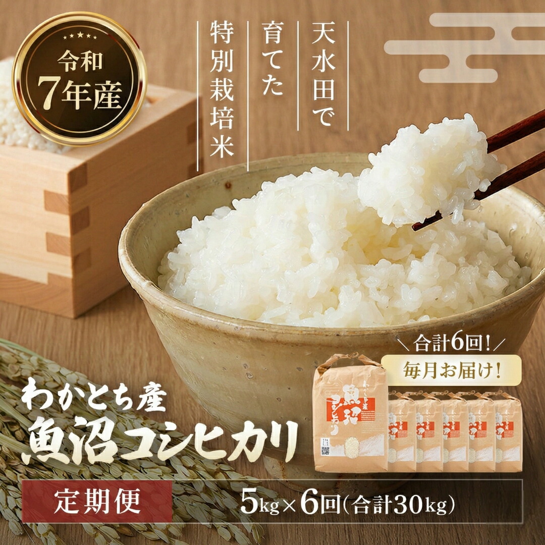 【ふるさと納税】【令和7年産 定期便】米 コシヒカリ 白米 わかとち産 魚沼産コシヒカリ 特別栽培 棚田米 5kg×6回(毎月お届け) 精米 新潟県産 こしひかり Mt.ファームわかとち| お米 魚沼 新潟県産 【0013-0005DB00-01】|新潟県小千谷市