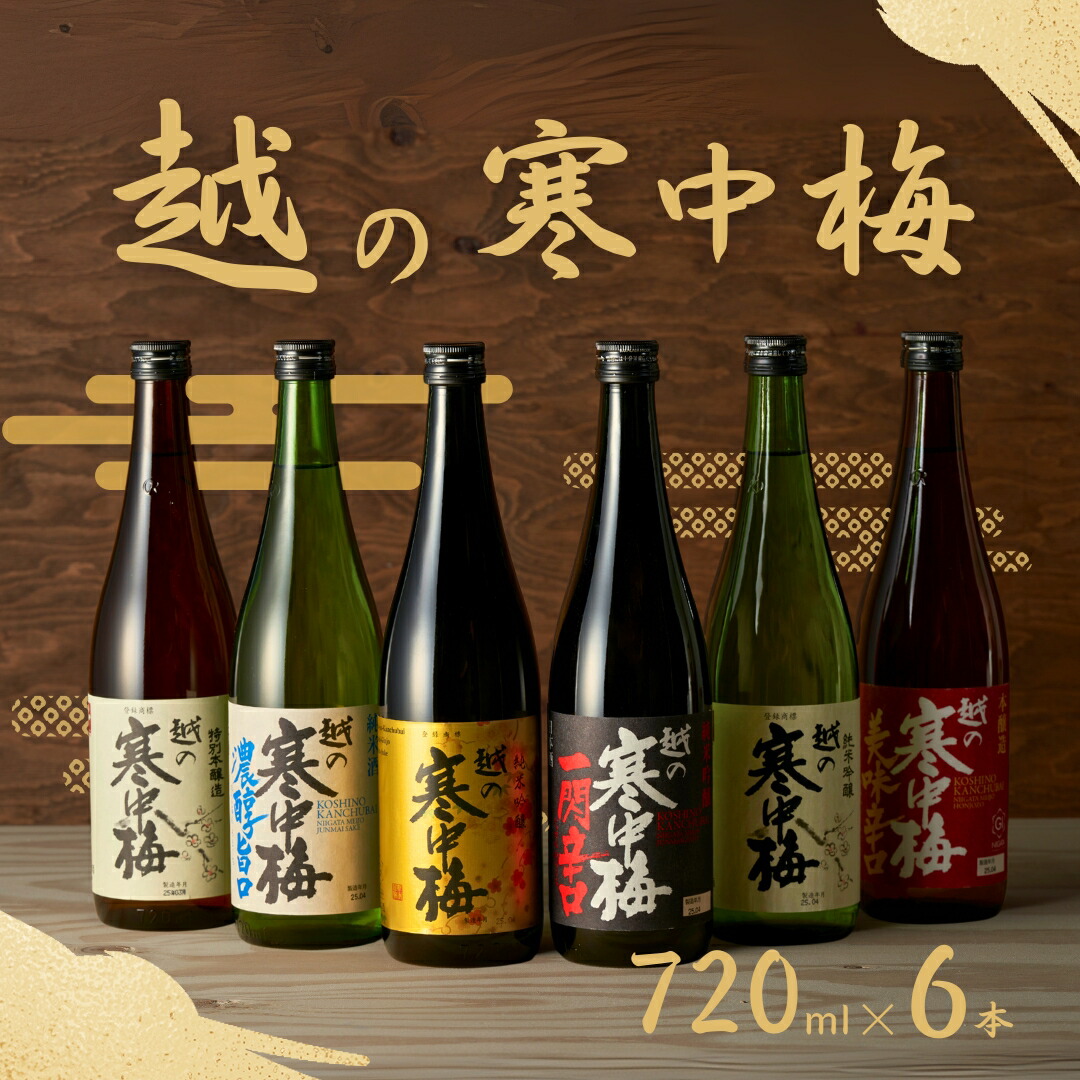 【ふるさと納税】日本酒 飲み比べ セット 越の寒中梅 6種類飲み比べセット 720ml×6本 淡麗辛口 新潟銘醸 | 清酒 お酒 酒 さけ 地酒 お取り寄せ 取り寄せ 贈り物 贈答 プレゼント ギフト 父の日 新潟県 小千谷市 23,040円