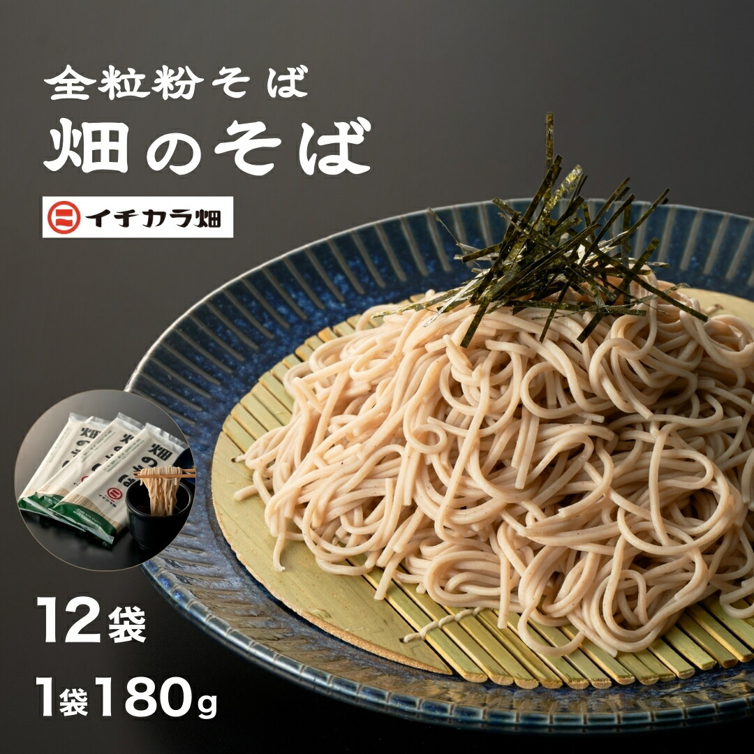 【ふるさと納税】蕎麦 乾麺 全粒粉そば乾麺 「畑のそば」180g×12個セット オーガニック 無農薬栽培 有機JAS認証 イチカラ畑 | そば ソバ 石臼挽き 全粒粉 お取り寄せ 取り寄せ 特産品 グルメ 贈り物 贈答 ギフト 新潟県 小千谷市 【0021-0001-01】