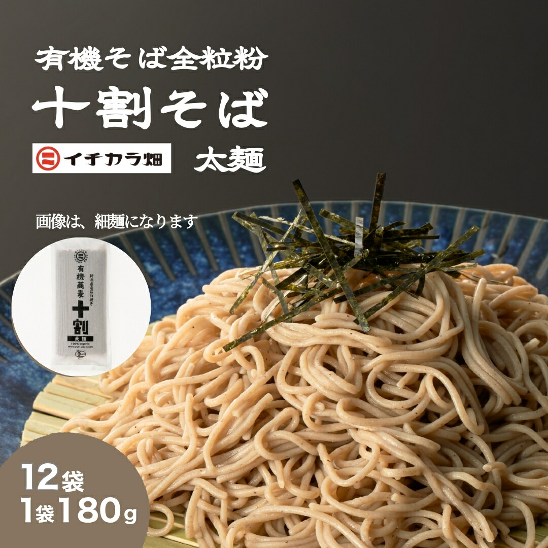 見返り美人ピカチュウ 土日のみ価格変更 【公式通販】