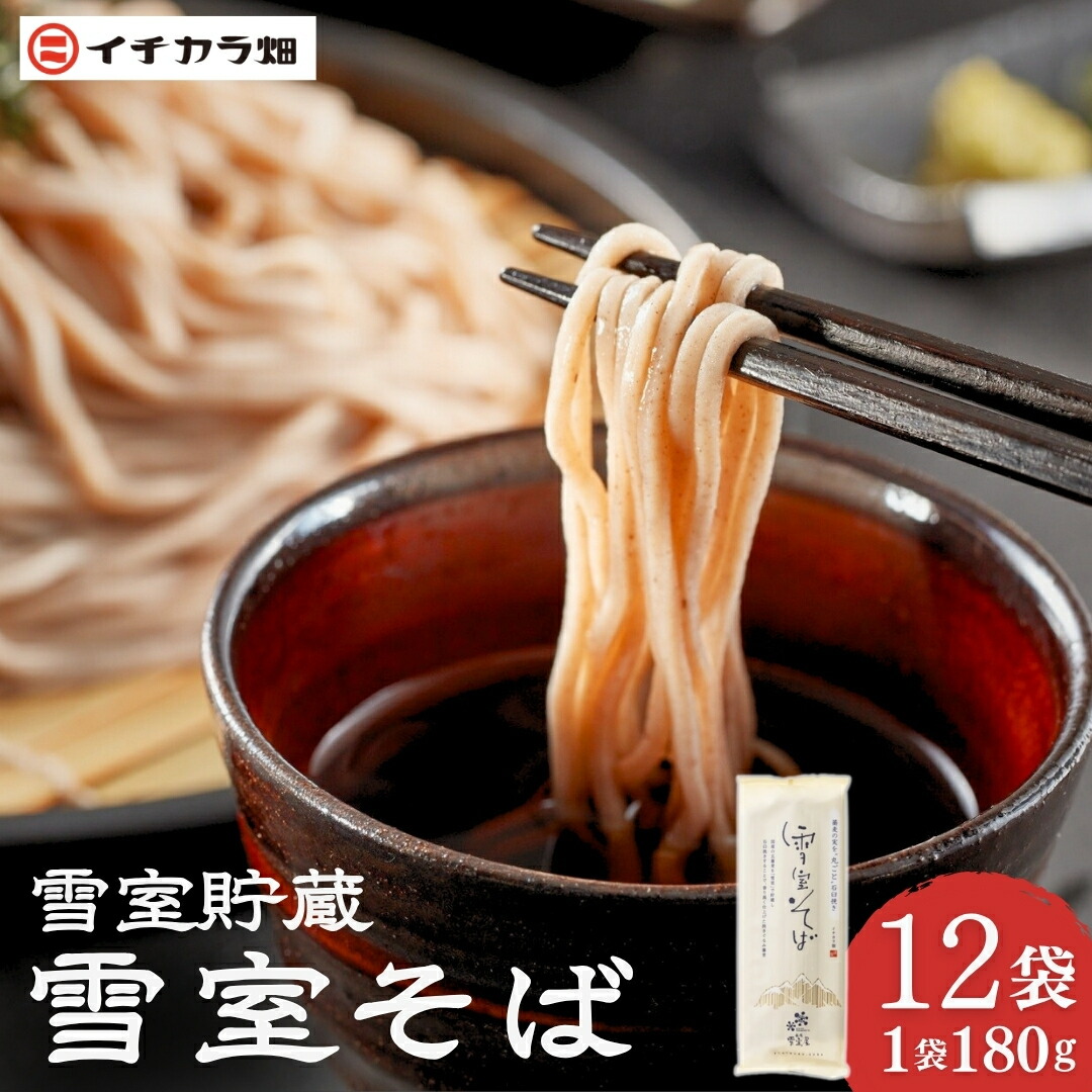 【ふるさと納税】そば 蕎麦【無農薬栽培の玄そば100％使用】雪室そば 乾麺 180g×12個セット(オーガニック・無農薬栽培) イチカラ畑 | ソバ 乾麺 お取り寄せ 取り寄せ 特産品 グルメ 贈り物 贈答 ギフト 新潟県 小千谷市 【0021-0003-01】