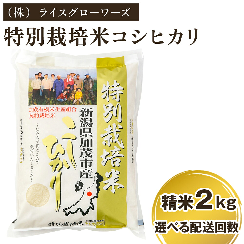 【ふるさと納税】【令和7年産】 新潟県加茂市産 特別栽培米コシヒカリ 精米2kg 選べる配送回数（通常配送1回～定期便12回） 《順次出荷》 白米 従来品種コシヒカリ （株）ライスグローワーズ｜新潟県加茂市