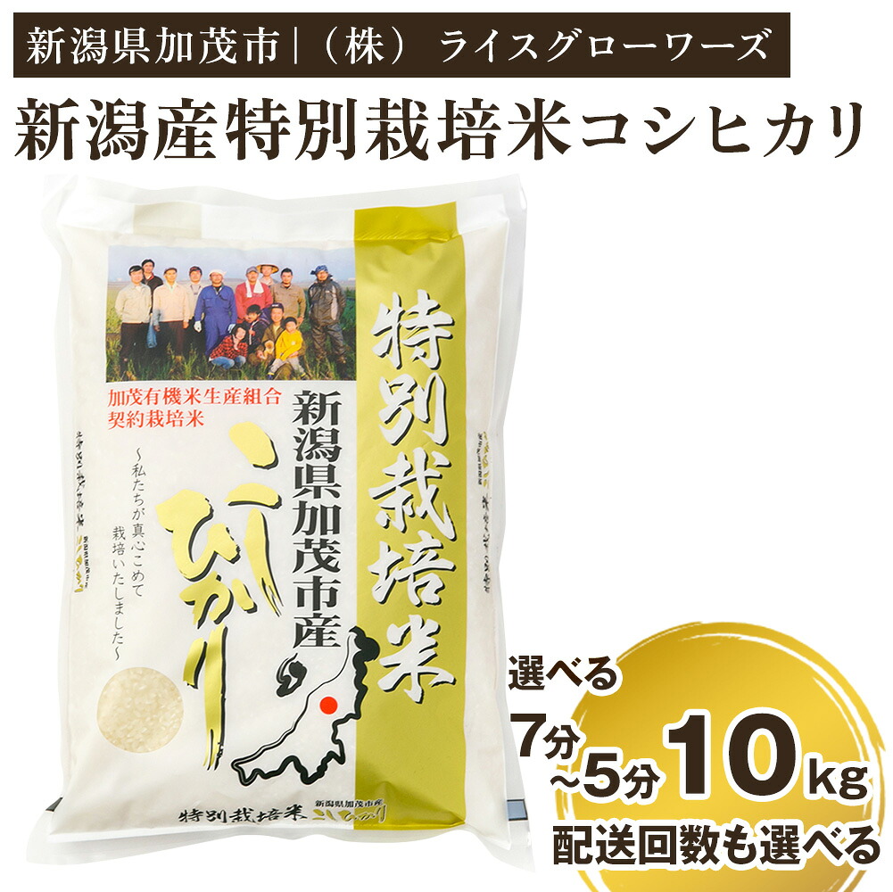 【ふるさと納税】【令和8年産新米先行予約】【分づき米】新潟県加茂市産 特別栽培米コシヒカリ 精米10kg（5kg&times;2）選べる配送回数・精米歩合（通常配送1回～定期便6回 / 7分づき or 5分づき）《10月上旬～順次出荷》 従来品種コシヒカリ （株）ライスグローワーズ｜新潟県加茂市