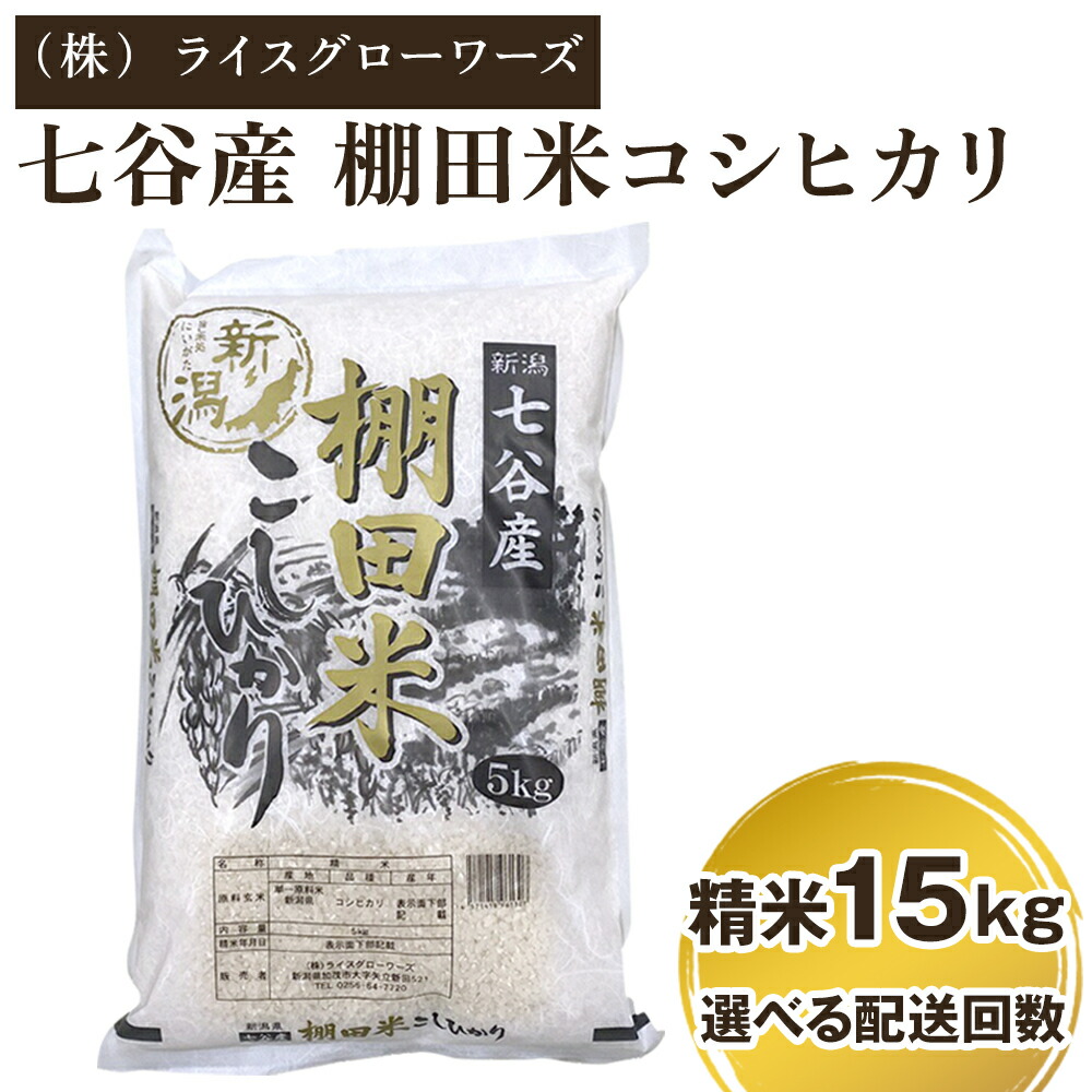 【ふるさと納税】【令和7年産】 新潟県加茂市 七谷産 棚田米コシヒカリ 精米15kg(5kg×3)選べる配送回数(通常配送1回~定期便12回)《順次出荷》 白米 (株)ライスグローワーズ|新潟県加茂市