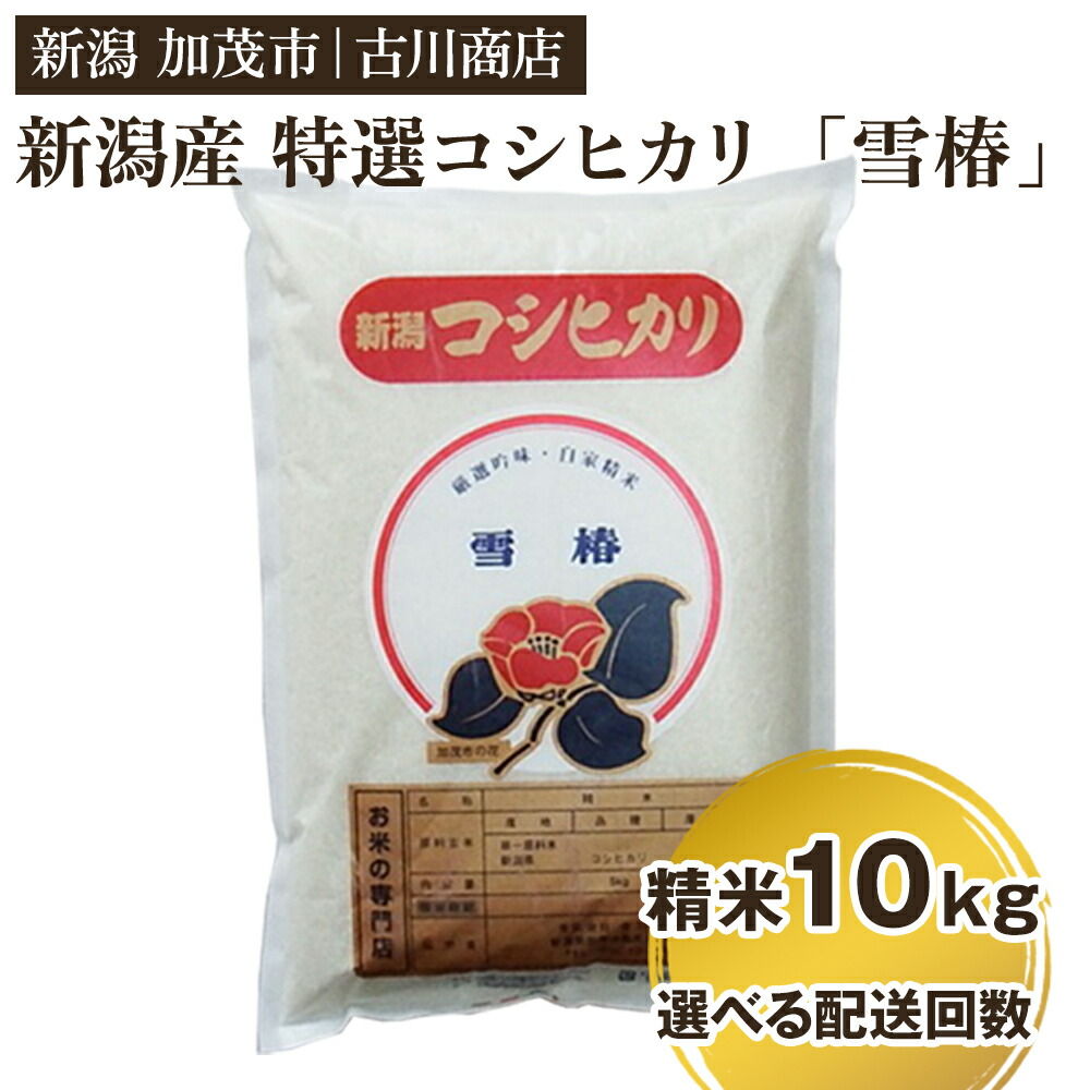 【ふるさと納税】【令和7年産】新潟県産 特選コシヒカリ「雪椿」精米10kg 選べる配送回数（通常配送1回～定期便12回）《順次発送》 白米 加茂市 お米の専門店 古川商店