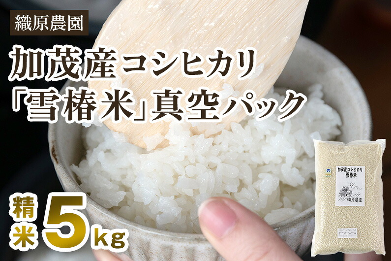 【ふるさと納税】【令和7年産】 新潟産コシヒカリ「雪椿米」特別栽培米 精米5kg《順次出荷》 白米真空パック 従来品種コシヒカリ 加茂市 織原農園|新潟県加茂市