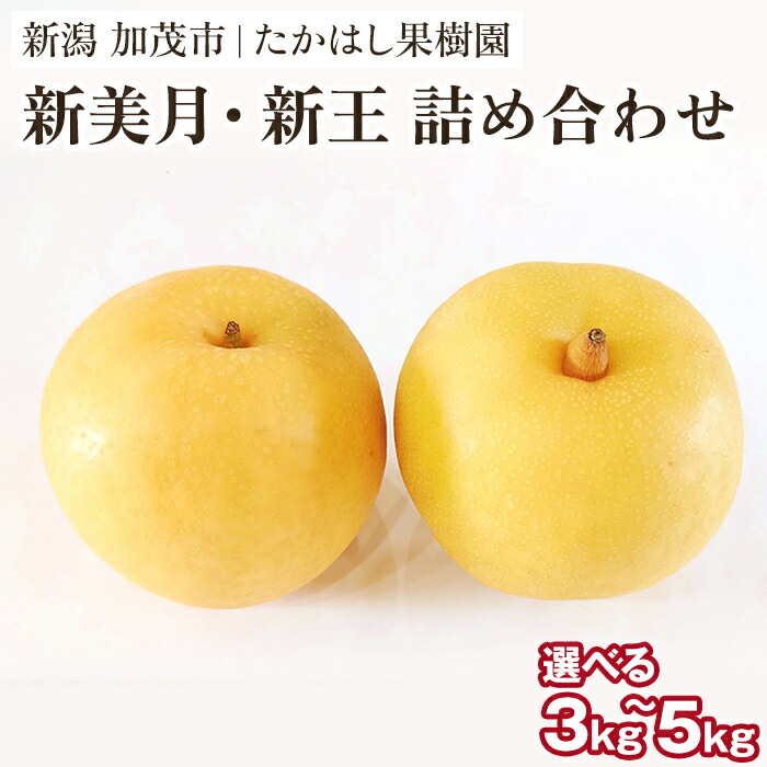 【ふるさと納税】 【2026年先行予約】たかはし果樹園 謹製 和梨 新美月 新王 2品種詰め合わせ 選べる「3kg」or「5kg」新潟県産《9月中旬～配送》果物 フルーツギフト 秋の味覚 産地直送 加茂市 たかはし果樹園｜新潟県加茂市