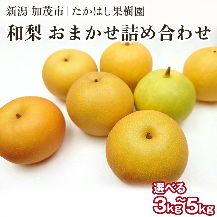【ふるさと納税】【2025年先行予約】 たかはし果樹園 謹製 和梨 内容おまかせ詰め合わせ 選べる「3kg」or「5kg」新潟県産《9月上旬以降配送》果物 フルーツギフト セット 秋の味覚 産地直送 加茂市 たかはし果樹園