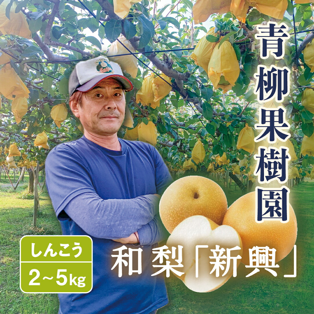 【ふるさと納税】【2025年先行予約】和梨 新興 選べる「2kg」or「3kg」or「5kg」[青柳果樹園]《11月上旬～順次出荷》[0462]