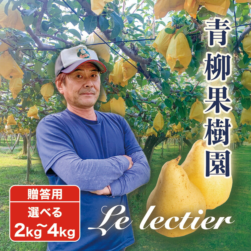 【ふるさと納税】【2026年先行予約】新潟特産 幻の洋梨ル・レクチェ 贈答用 「2kg」or「3kg」or「4kg」〈11月下旬～順次出荷〉 ルレクチェ ル・レクチエ ルレクチエ 果物 フルーツギフト 冬の味覚 産地直送加茂市 青柳果樹園