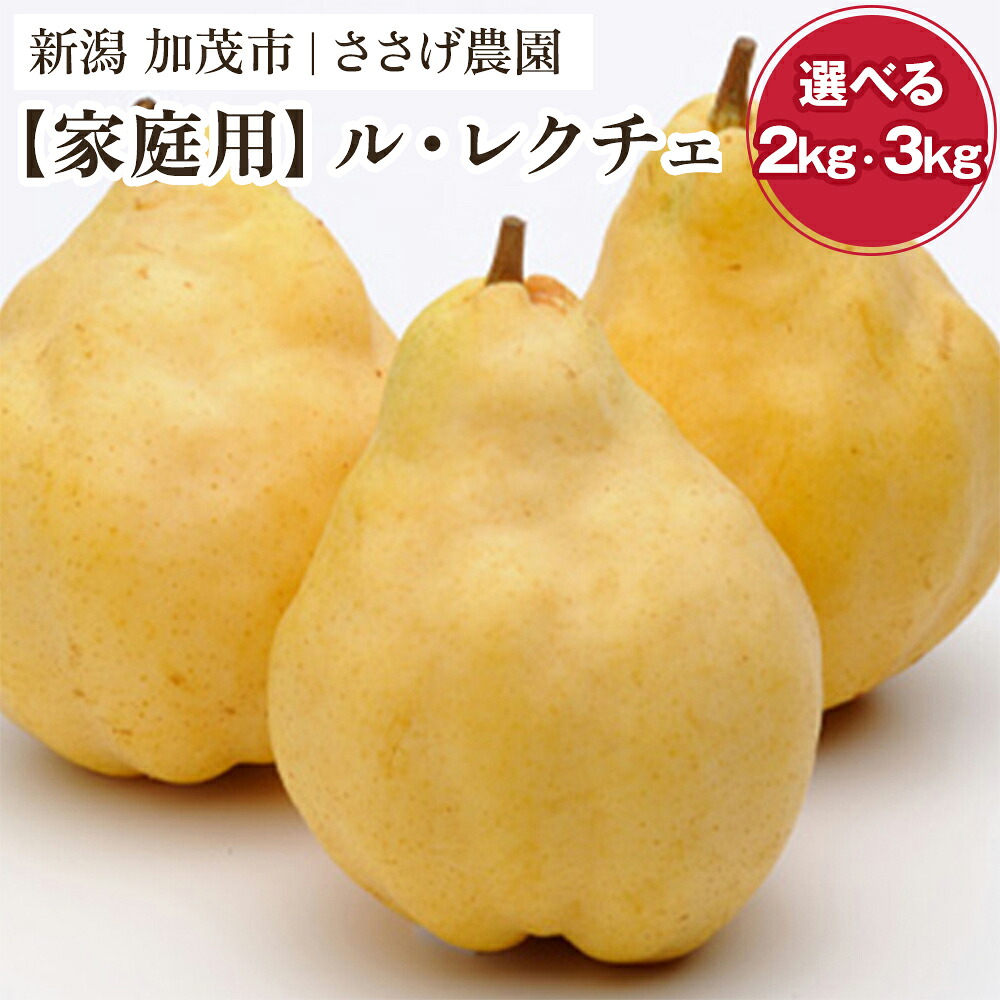 【ふるさと納税】【2026年先行予約】新潟特産 幻の洋梨ル・レクチェ 家庭用 「2kg」or「3kg」 《11月下旬～お届け》 ルレクチェ ル・レクチエ ルレクチエ 西洋梨 果物 フルーツ 冬の味覚 産地直送加茂市 ささげ農園