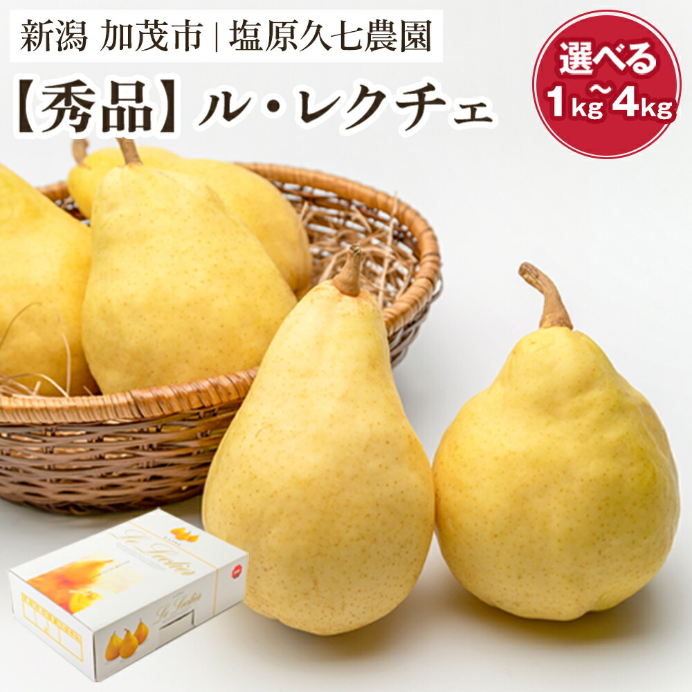 【ふるさと納税】【2025年先行予約】新潟特産 幻の洋梨ル・レクチェ 秀品 「約1kg」or 「約2kg」or「約3kg」or「約4kg」 《11月下旬から順次発送》 果物 フルーツギフト 冬の味覚 産地直送 加茂市 塩原久七農園
