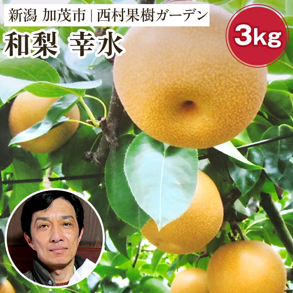 【ふるさと納税】【2025年先行予約】新潟産 西村の黒酢ミネラル栽培 梨 幸水3kg（5～12玉）《8月上旬以降発送》こうすい 玄米黒酢やヨーグルトを散布して育てた梨 果物 フルーツ ギフト 加茂市 西村果樹ガーデン