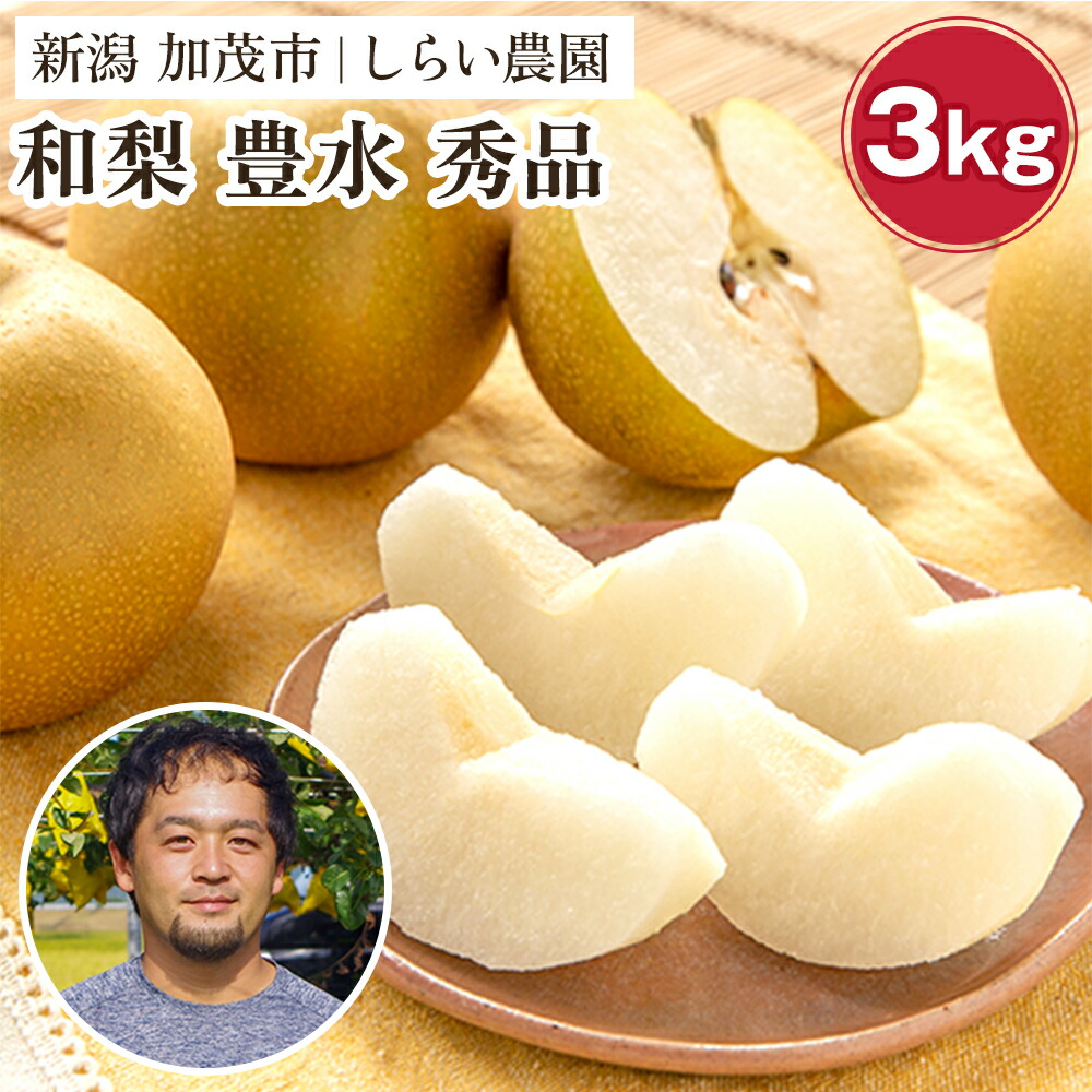 【ふるさと納税】【2025年先行予約】しらい農園の和梨 豊水 秀品3kg（5～9玉） 《9月中旬から順次発送》 果実 フルーツ 贈答 ギフト 甘くてジューシーな梨 なし ほうすい 加茂市 しらい農園