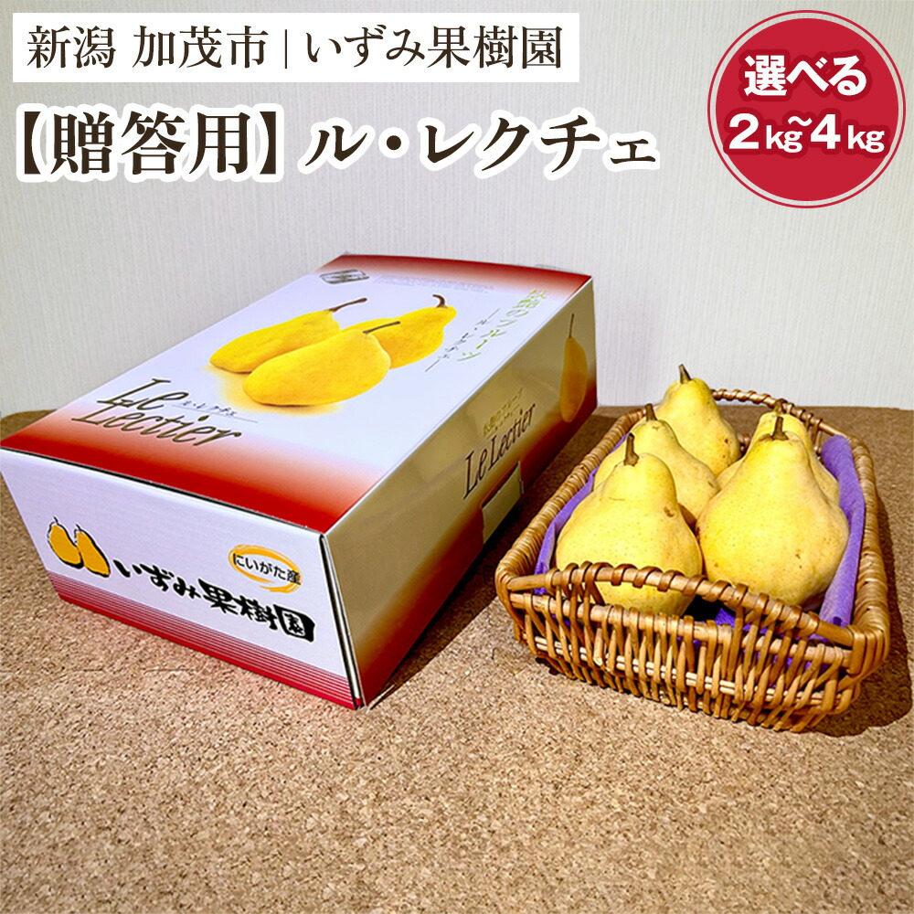 【ふるさと納税】【2026年先行予約】【贈答用】西洋梨ル・レクチェ 「約2kg」or「約3kg」or「約4kg」〈11月下旬～順次出荷〉 ルレクチェ ル・レクチエ ルレクチエ 幻の洋梨 フルーツ 贈答 冬の味覚 加茂市 いずみ果樹園