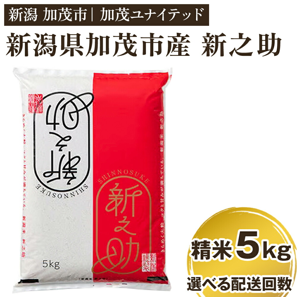【ふるさと納税】【令和7年産】新潟県産 新之助 精米5kg 選べる配送回数 （通常配送1回～定期便12回） 《順次発送》 精米 白米 新潟 ブランド米 加茂市 加茂ユナイテッド