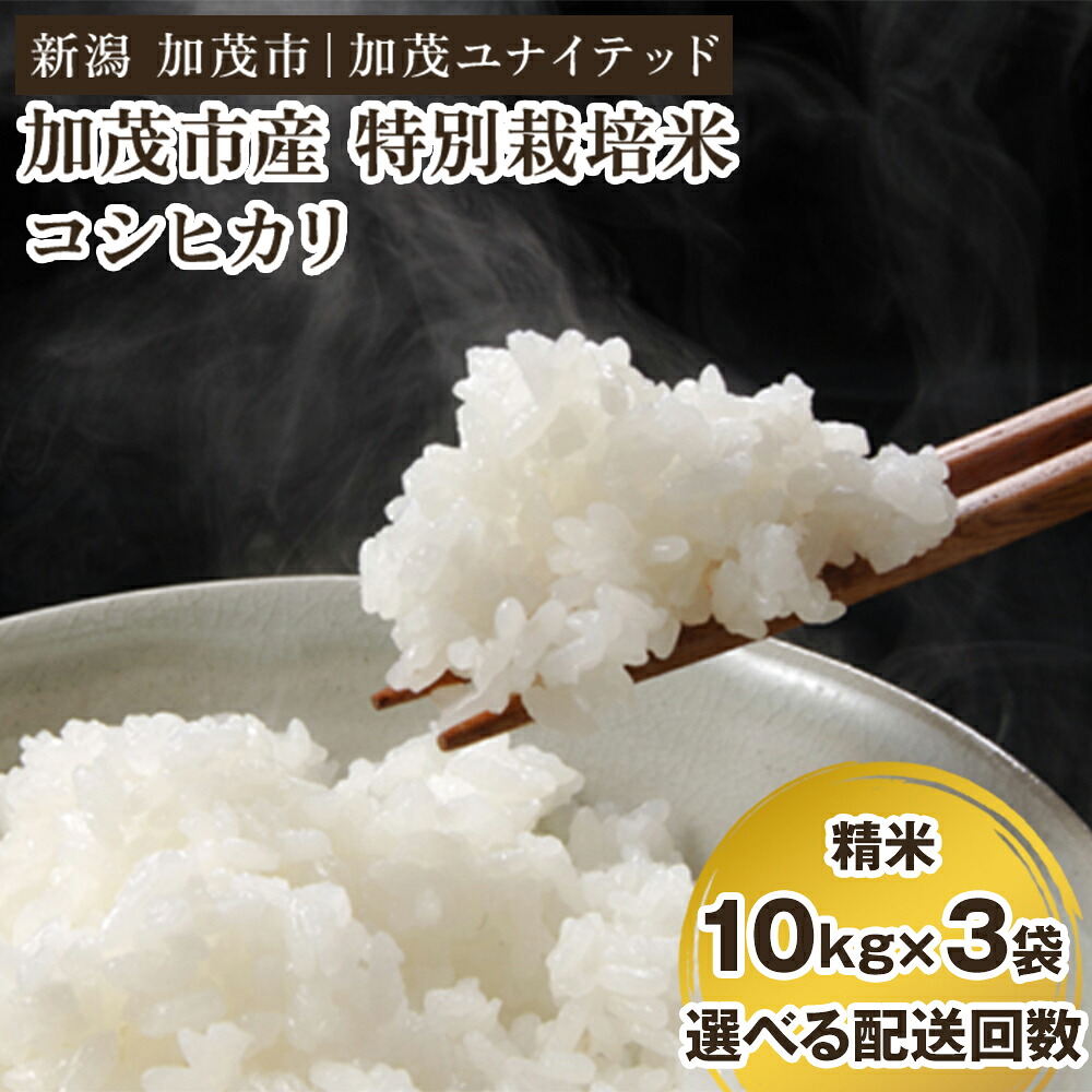 【ふるさと納税】【令和8年産新米先行予約】加茂市産 特別栽培米 コシヒカリ 精米30kg(10kg×3袋)《10月上旬~順次出荷》 選べる配送回数 (通常配送1回~定期便3回) 栽培期間中は化学肥料・農薬不使用 新潟米 お米 白米 こしひかり 加茂ユナイテッド|新潟県加茂市