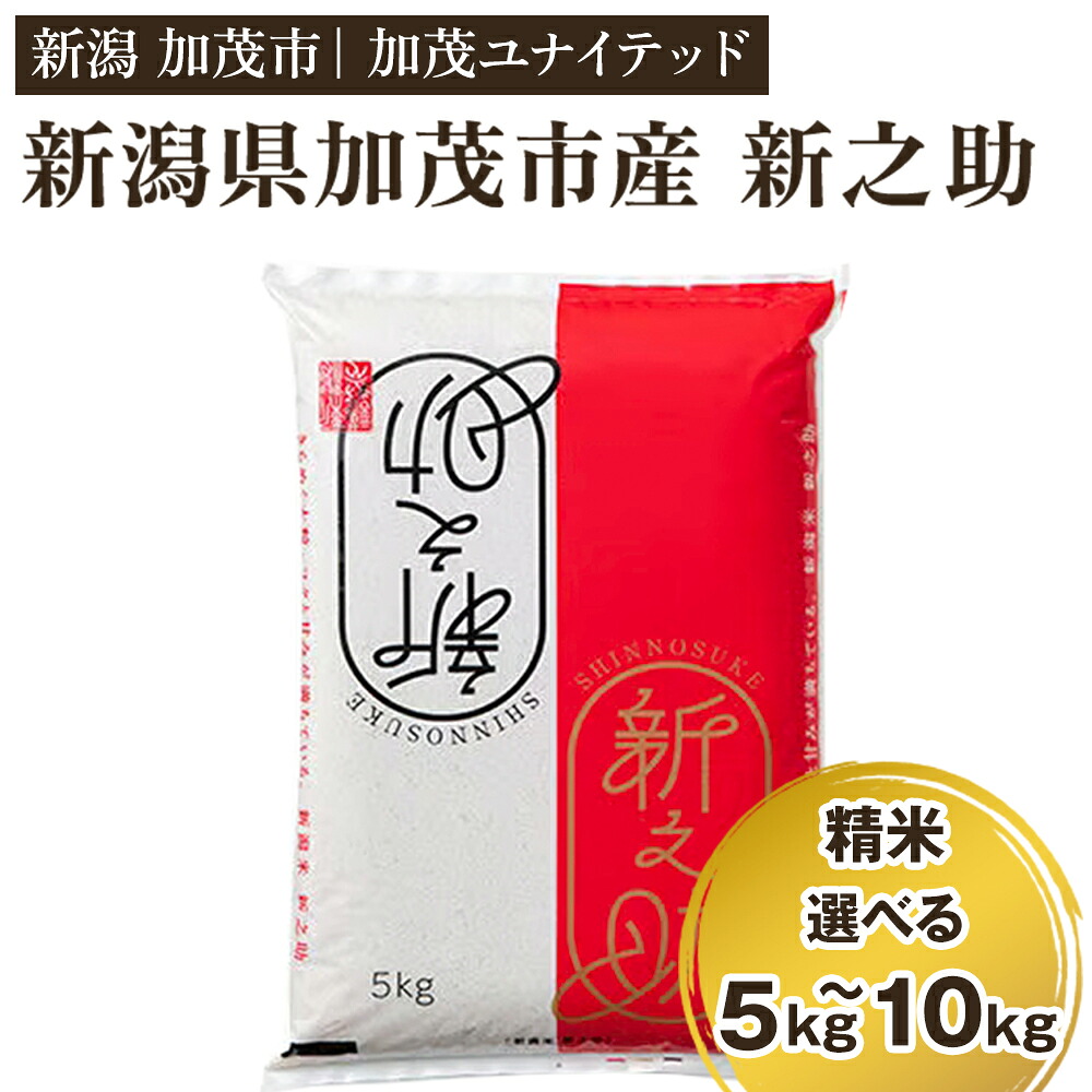 【ふるさと納税】【寄附額見直し】【令和7年産】新潟県産 新之助 精米 選べる 5kg（5kg&times;1袋） 〜 10kg（5kg&times;2袋）《順次出荷》 東京・南青山の料亭で使用される極上米 加茂市 加茂ユナイテッド：新潟県加茂市