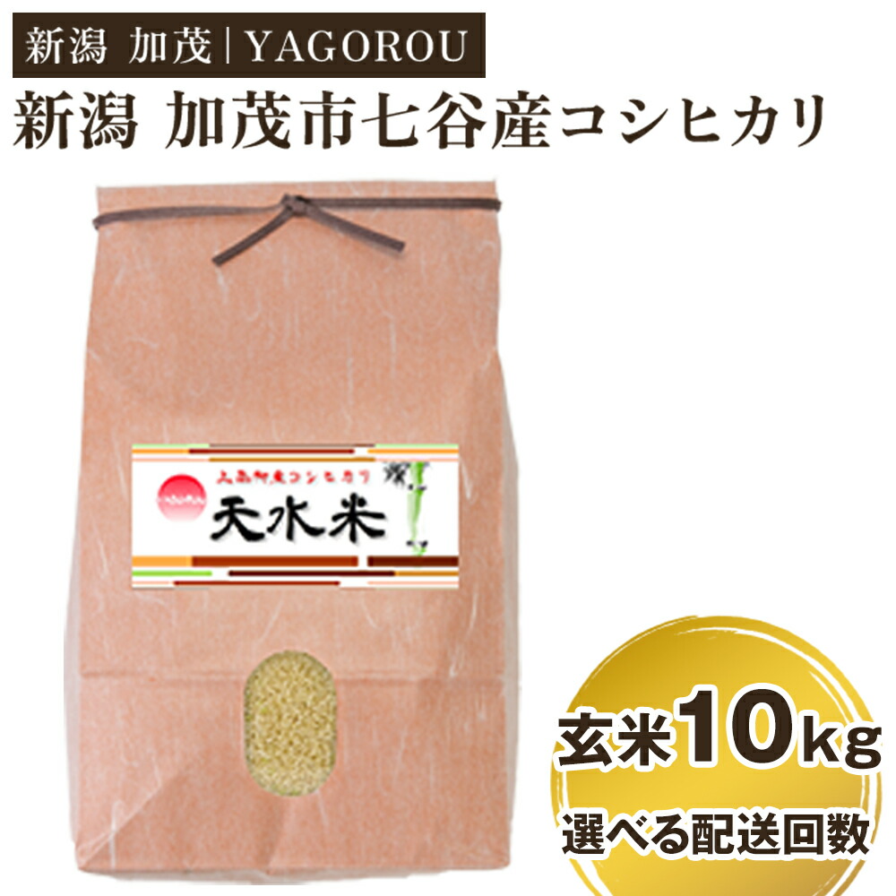【ふるさと納税】【令和7年産新米先行予約】新潟県加茂市 七谷産コシヒカリ 玄米10kg 選べる配送回数（通常配送1回～定期便6回） 《10月中旬～順次発送》 新潟産コシヒカリ 豊かな山水で育った天水米 加茂市 YAGOROU ヤゴロウ