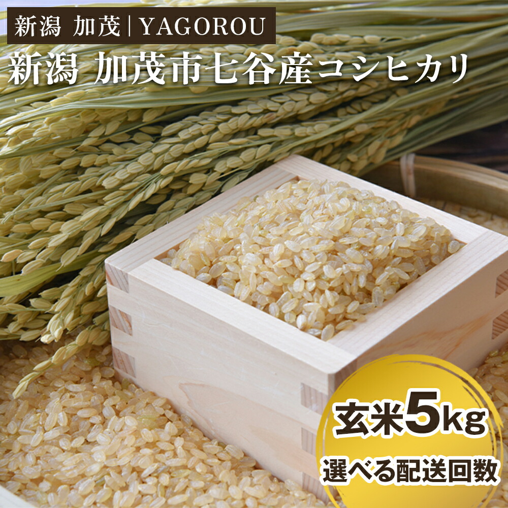【ふるさと納税】【令和7年産新米先行予約】新潟県加茂市 七谷産コシヒカリ 玄米5kg 選べる配送回数（通常配送1回～定期便6回） 《10月中旬～順次発送》 新潟産コシヒカリ 豊かな山水で育った天水米 加茂市 YAGOROU ヤゴロウ