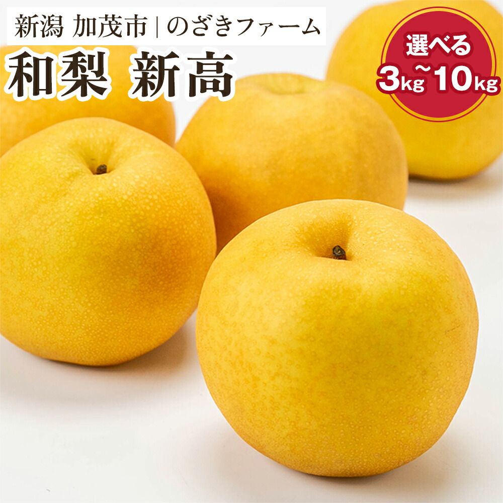 【ふるさと納税】【2025年先行予約】新潟県加茂市産 和梨 新高 選べる「3kg」or「5kg」or「10kg」〈10月上旬～順次出荷〉 なし ナシ にいたか 果物 フルーツ 秋の味覚 加茂市 のざきファーム