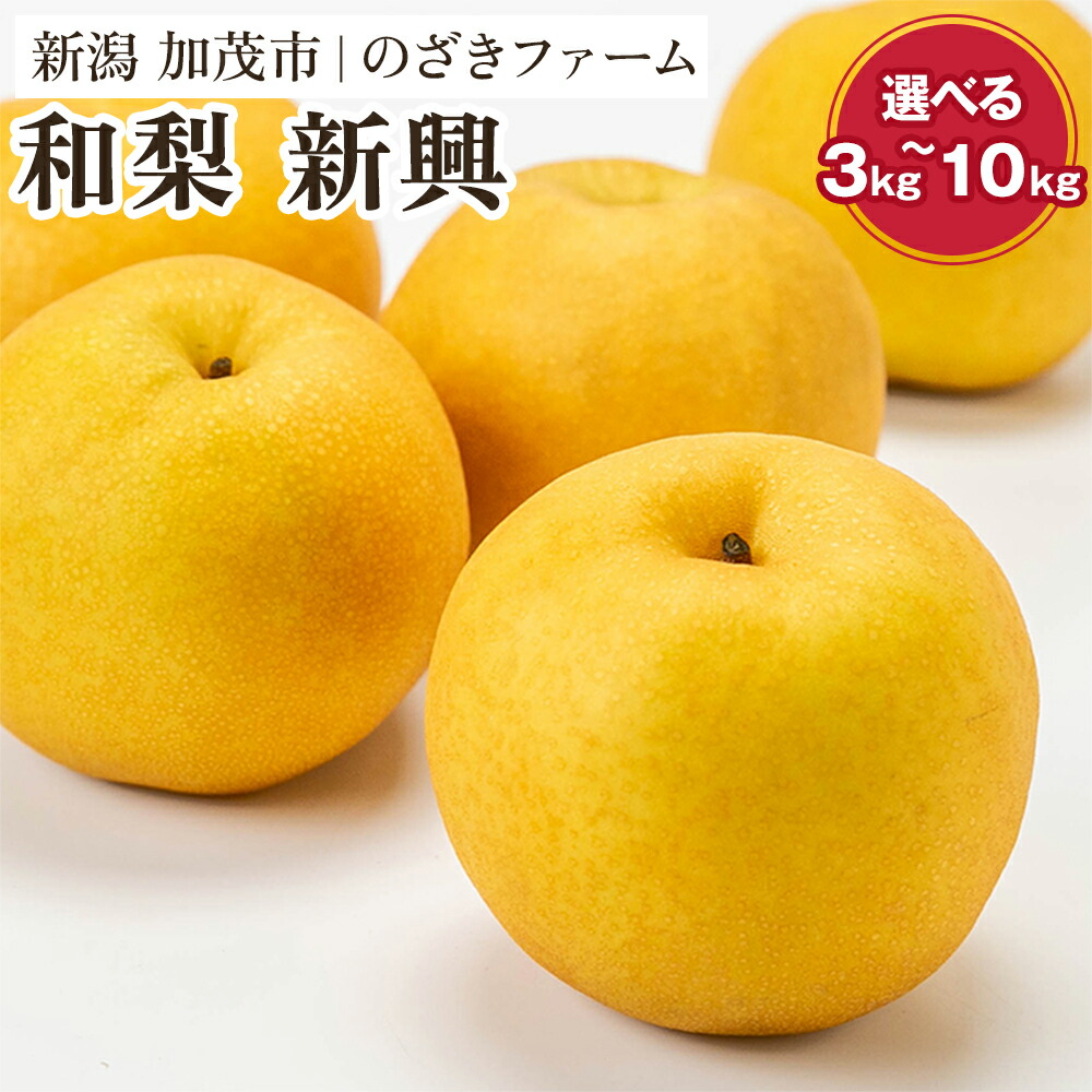 【ふるさと納税】【2025年先行予約】新潟県加茂市産 和梨 新興 選べる「3kg」or「5kg」or「10kg」〈10月下旬～順次出荷〉 なし ナシ しんこう 果物 フルーツ 秋の味覚 加茂市 のざきファーム