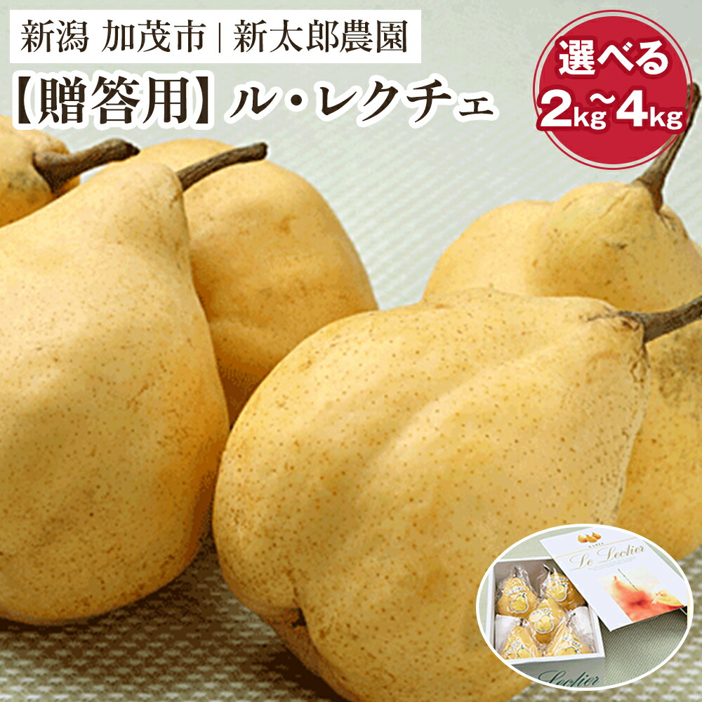 【ふるさと納税】【2025年先行予約】【贈答用】幻の洋梨 ル・レクチェ 選べる「2kg」or「3kg」or「4kg」《11月下旬から順次発送》 化粧箱入り 果物 フルーツ ギフト 贈答 加茂市産ル・レクチェ 梨 西洋梨 加茂市 新太郎農園