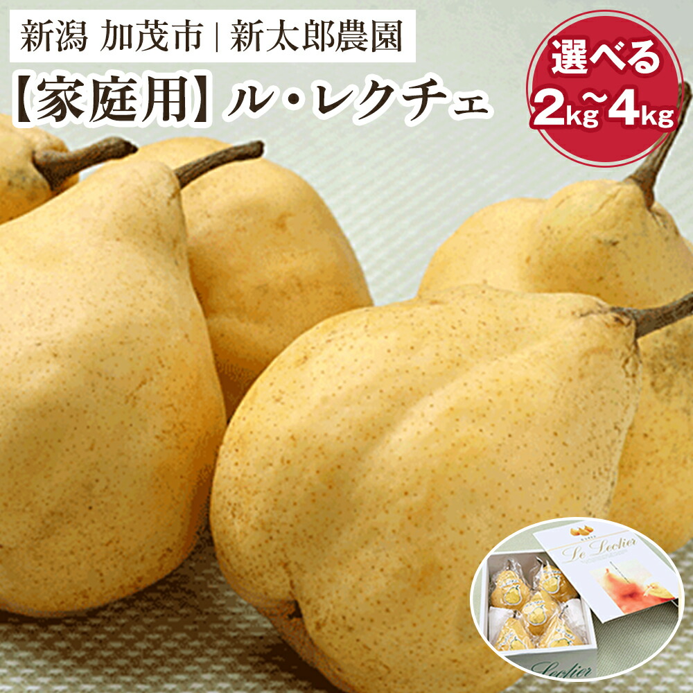 【ふるさと納税】【2025年先行予約】【家庭用】幻の洋梨 ル・レクチェ 選べる「2kg」or「3kg」or「4kg」《11月下旬から順次発送》 果物 フルーツ ギフト 贈答 加茂市産 ル・レクチェ 梨 西洋梨 加茂市 新太郎農園