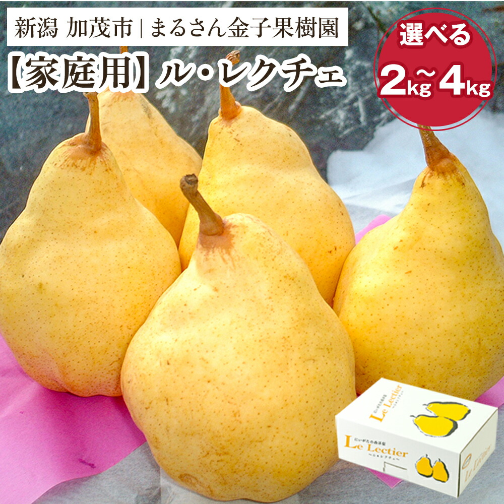 【ふるさと納税】【2026年先行予約】【家庭用】ル・レクチェ 選べる内容量 「2kg」or「3kg」or「4kg」《11月下旬から順次発送》 果物 梨 洋梨 西洋梨 フルーツ 訳あり 冬の味覚 デザート 産地直送 加茂市 まるさん金子果樹園｜新潟県加茂市