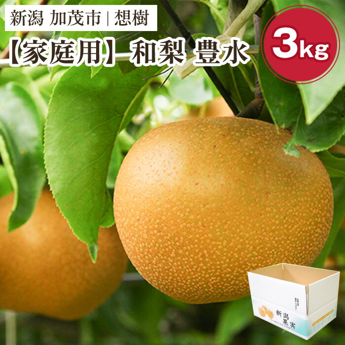 【ふるさと納税】【2026年先行予約】【家庭用】新潟県産和梨 豊水 約3kg（4～9玉）《9月上旬～順次出荷》 梨 なし ナシ 豊水 ほうすい 果物 果樹 フルーツ 樹上完熟 加茂果樹専門家集団 加茂市 想樹