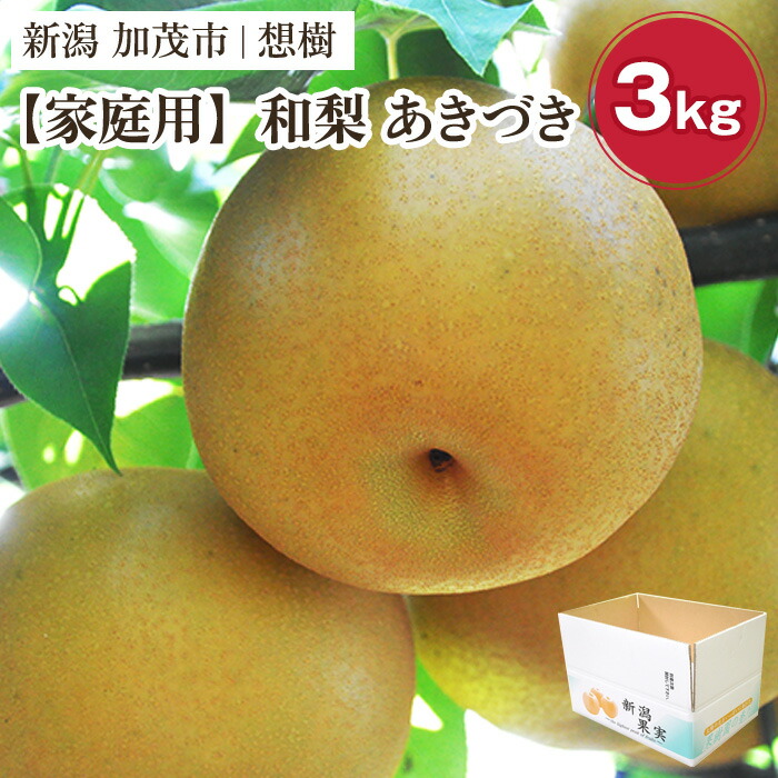 【ふるさと納税】【2026年先行予約】【家庭用】新潟県産和梨 あきづき 約3kg(4~9玉)《9月中旬~順次出荷》 梨 なし ナシ あきづき 果物 果樹 フルーツ 樹上完熟 加茂果樹専門家集団 加茂市 想樹
