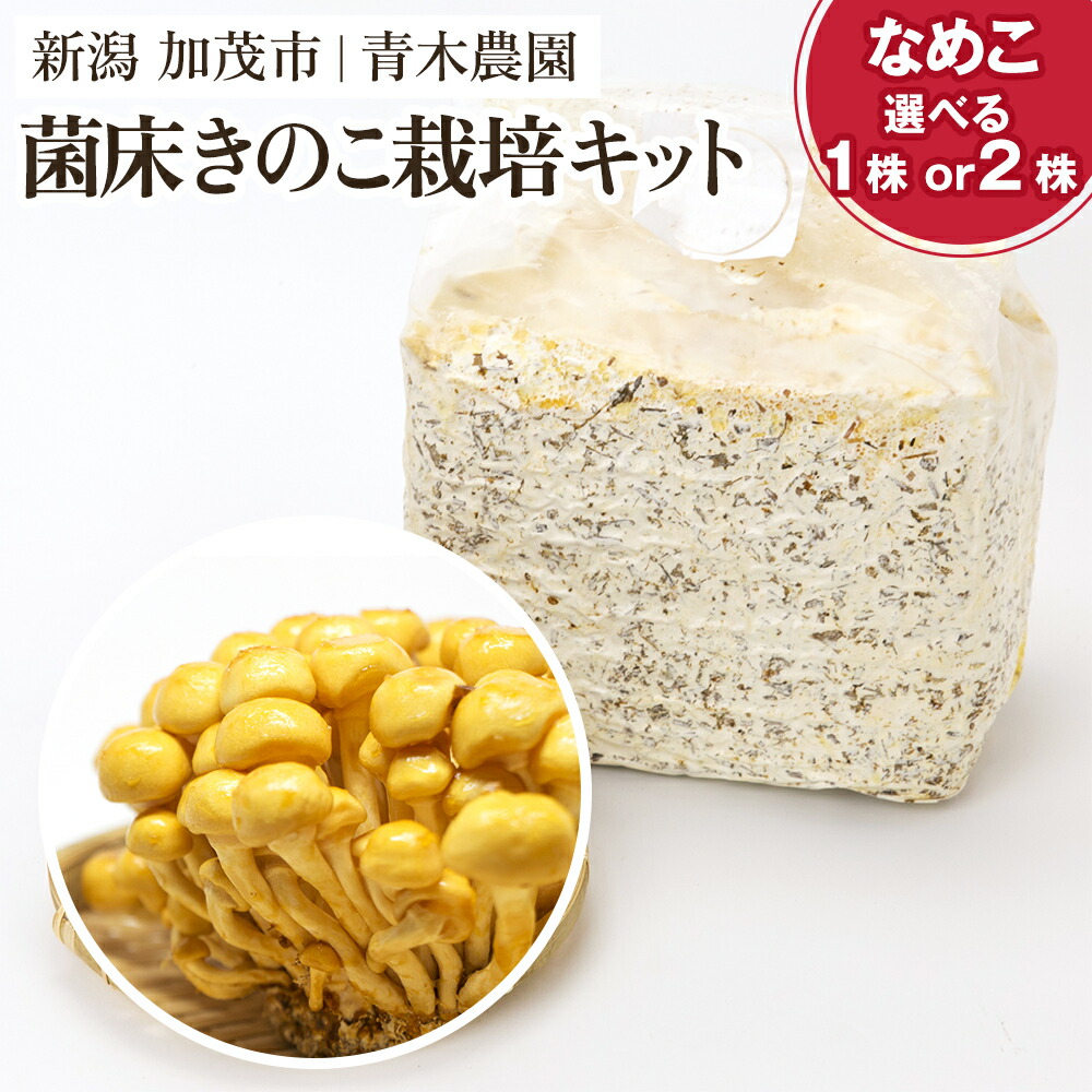 【ふるさと納税】【2026年先行予約】菌床きのこ栽培キット なめこ 選べる株数「1株入り」or「2株入り」 《10月上旬から順次発送》 栽培キット 自家栽培 きのこ なめこ 栽培 初心者でも簡単 自宅 菌床 加茂市 青木農園|新潟県加茂市