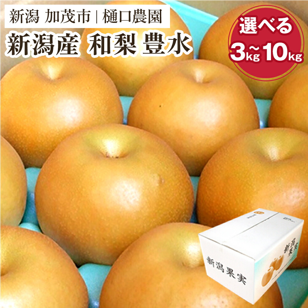 【ふるさと納税】【2025年先行予約】和梨 豊水 選べる「3kg」or「5kg」or「10kg」《9月上旬から順次発送》果物 なし ほうすい 梨 フルーツ 新鮮 ジューシー 産地 加茂市 樋口農園