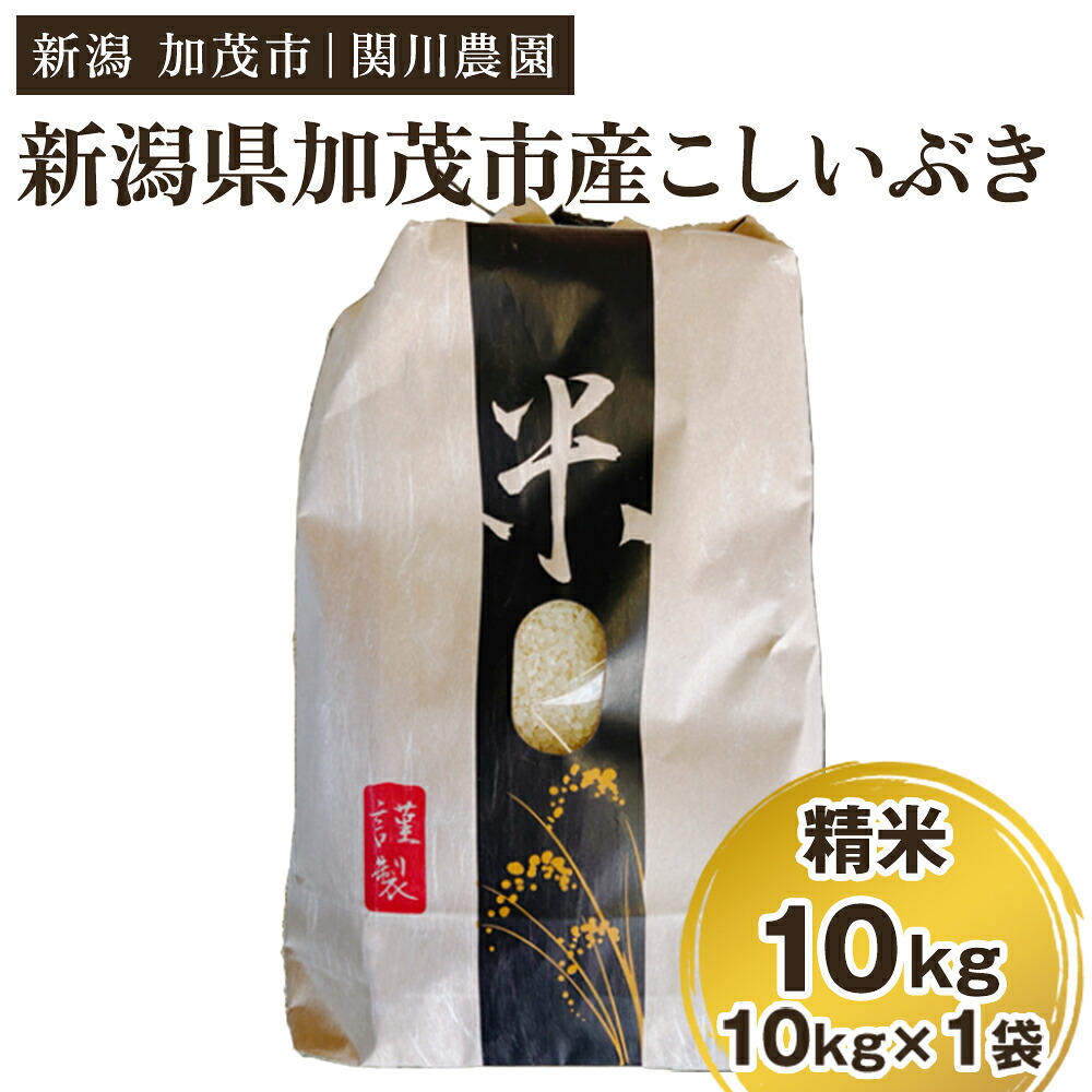 【ふるさと納税】【令和8年産新米先行予約】加茂市産こしいぶき 精米10kg（10kg&times;1袋）《9月中旬から順次出荷》 コシイブキ 新潟産 米 お米 白米 加茂市 関川農園｜新潟県加茂市