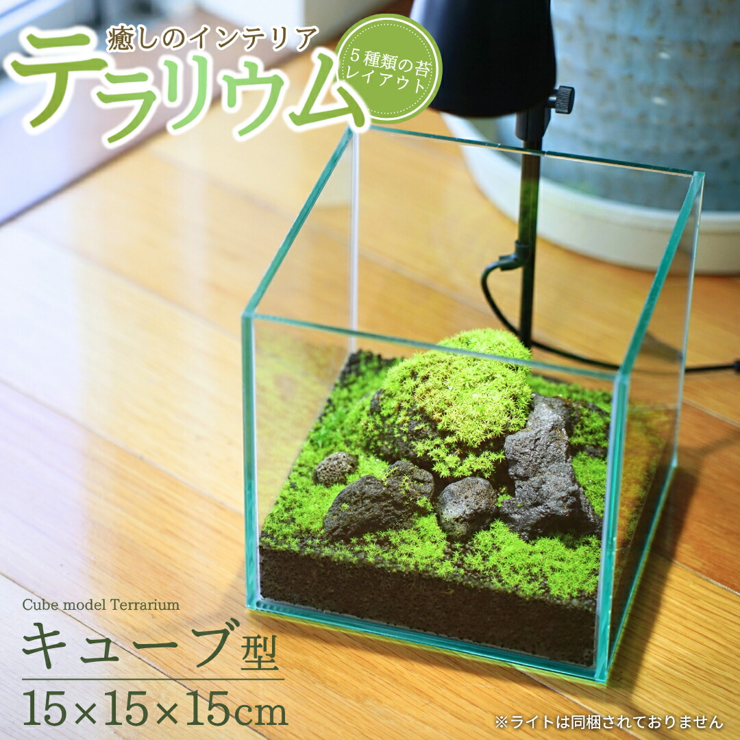 REGAL商行為シューズ ふるさと納税しっぺい返し品特集