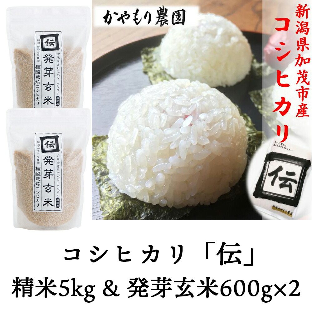 卓抜 新米 新潟加茂産 コシヒカリ 伝 精米5kg 発芽玄米600g×2個 令